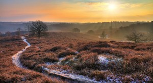 Last minute kerstvakantie Nederland