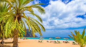 The Best of Tenerife