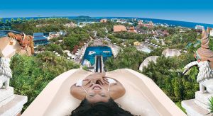 Siam Park, Tenerife: waterpark