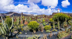Doen op Lanzarote