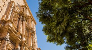 Handleiding 4-daagse stedentrip Valencia