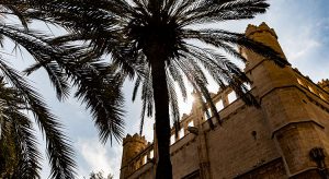 Doen in Palma de Mallorca
