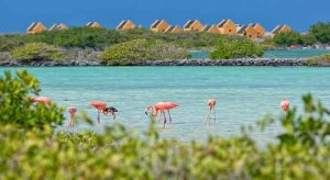 Wat te doen Bonaire?