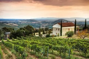 Top 3 kidsproof agriturismo’s in Toscane