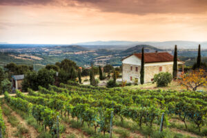 Top 3 kidsproof agriturismo’s in Toscane