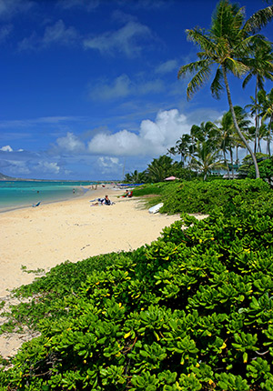Tropische stranden Mauritius