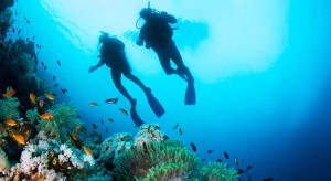 Onderwaterparadijs! Duiken in Oman