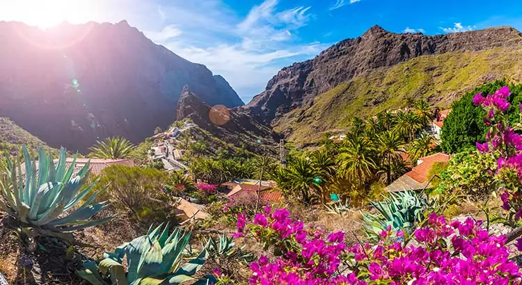 Dé must-see bezienswaardigheden op Tenerife