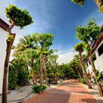 Plaza Resort Bonaire