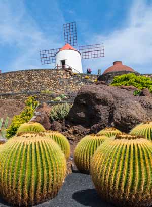 Overwinteren Canarische Eilanden: Lanzarote