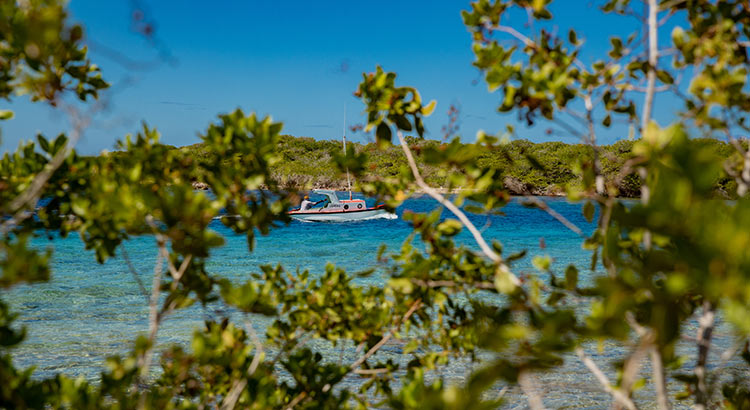 ABC-eilanden: ga jij op vakantie naar Aruba, Bonaire of Curaçao?