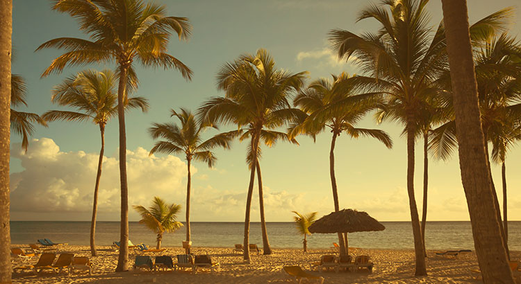 Op vakantie naar Jamaica? Check deze tips!