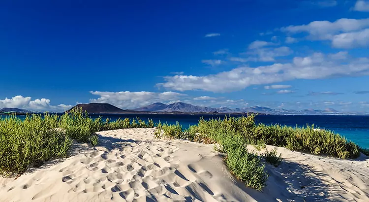 Fuerteventura duinen