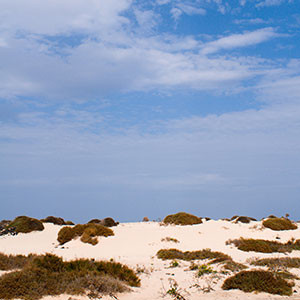 Last minute kerstvakantie Nederland