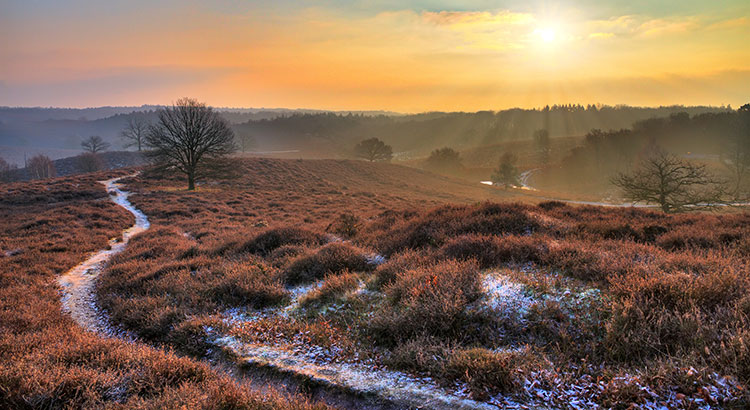 Last minute kerstvakantie Nederland
