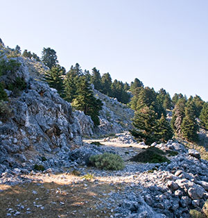 Vakantie Kefalonia: hoogste berg Enos