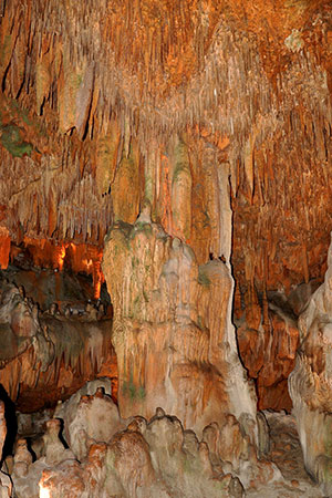 Dalmatas grotten Alanya, Turkije