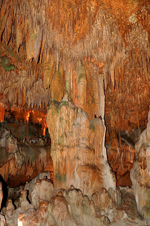 Dalmatas grotten Alanya, Turkije