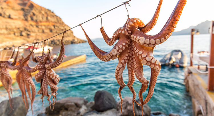 Doen in Griekenland, verse octopus eten