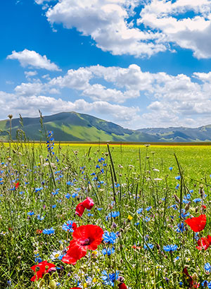 Italië natuur: Umbrië