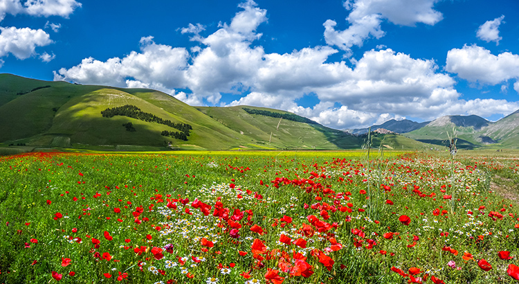 Italië voor natuurliefhebbers: Umbrië