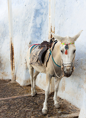 Doen op Santorini, Fira