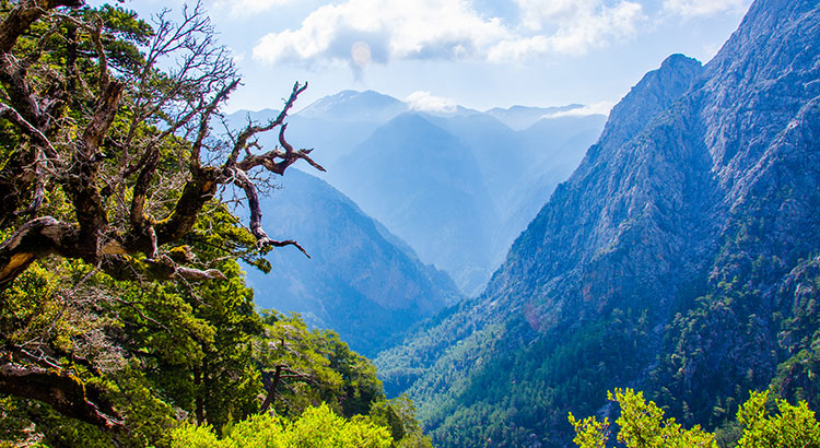 Natuur op Griekenland: Samaria kloof, Kreta