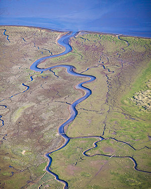 Onthaasten Waddeneilanden, Ameland