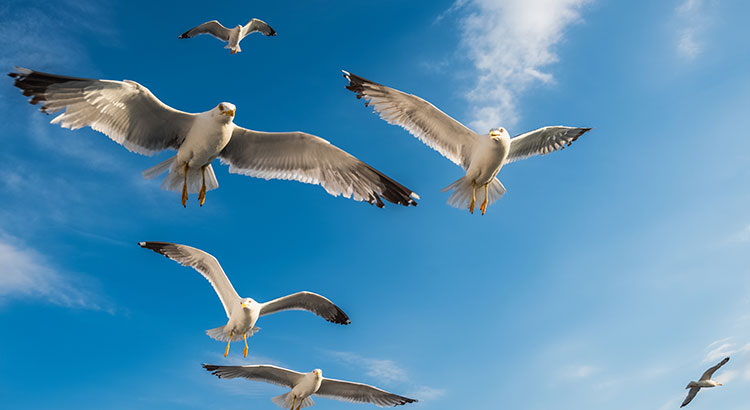 Onthaasten Waddeneilanden