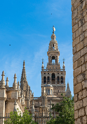 Santa Cruz, Sevilla: de Giralda