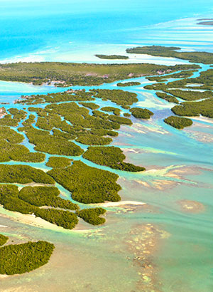 Florida Keys