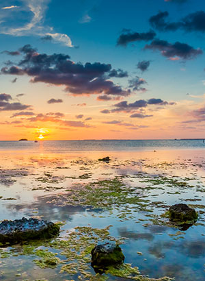 Florida Keys: Key Largo