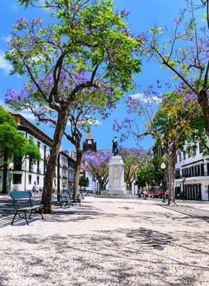 vakantie-funchal-zone-velha