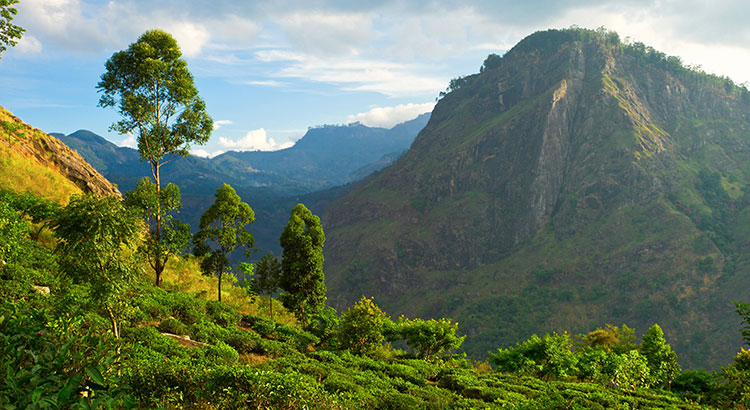 Sri Lanka