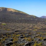 La Geria, wijngebied Lanzarote