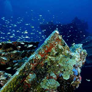 Bezienswaardigheden Aruba: scheepswrak