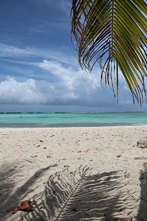 San Nicolas: Baby Beach