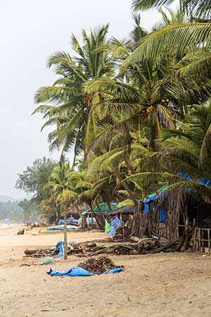 Vakantie India, State of Goa: Agonda strand