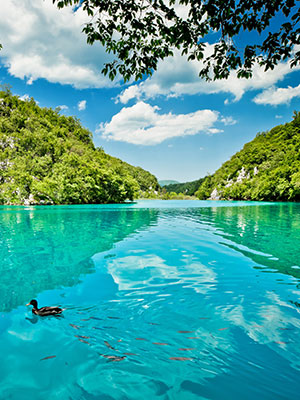 Rondje langs Kroatische meren, Plitvice Meren