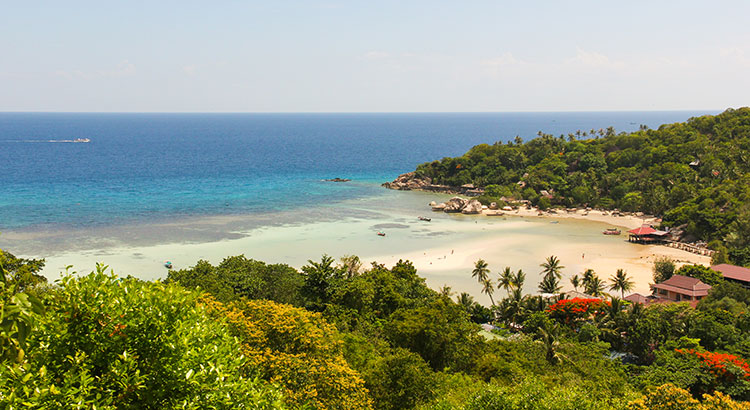 Vakantie Koh Tao