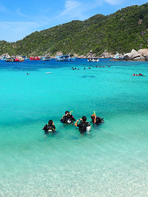 Vakantie Koh Tao, duiken