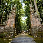 Doen in Ubud