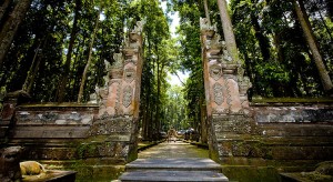 Bali op z’n best! 10x doen in Ubud