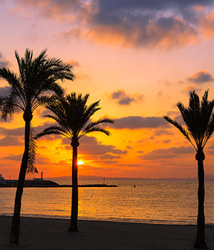 Jongerenvakantie Mallorca, El Arenal