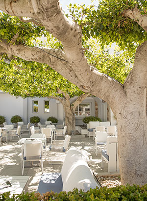 Badplaats Tigaki, Kos: More Meni Beach