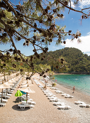 Stranden Montenegro: Lucice Beach