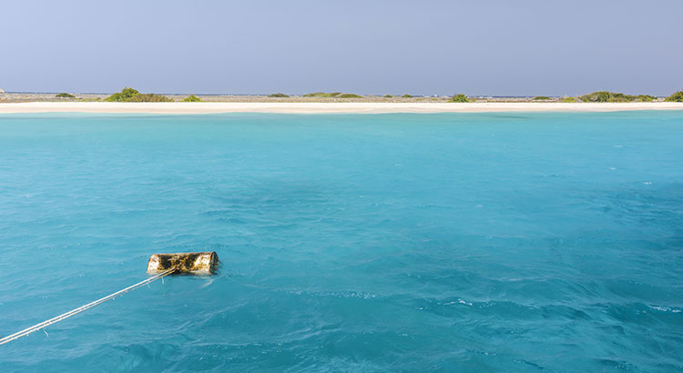 Dagtocht Klein Curaçao
