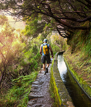Doen Madeira Wandelen natuur