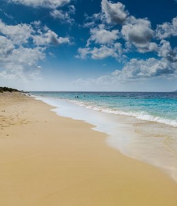 Doen op Bonaire: deze 10 dingen mag je niet missen - dé VakantieDiscounter