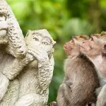 Monkey Forest Ubud